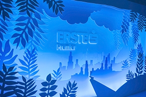 ERSTE PREMIER LOUNGE